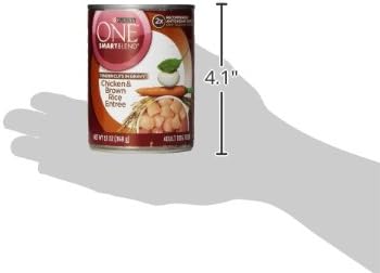 purina one natural high protein dog food tender cuts in gravy chicken and brown rice entrée pack of 12