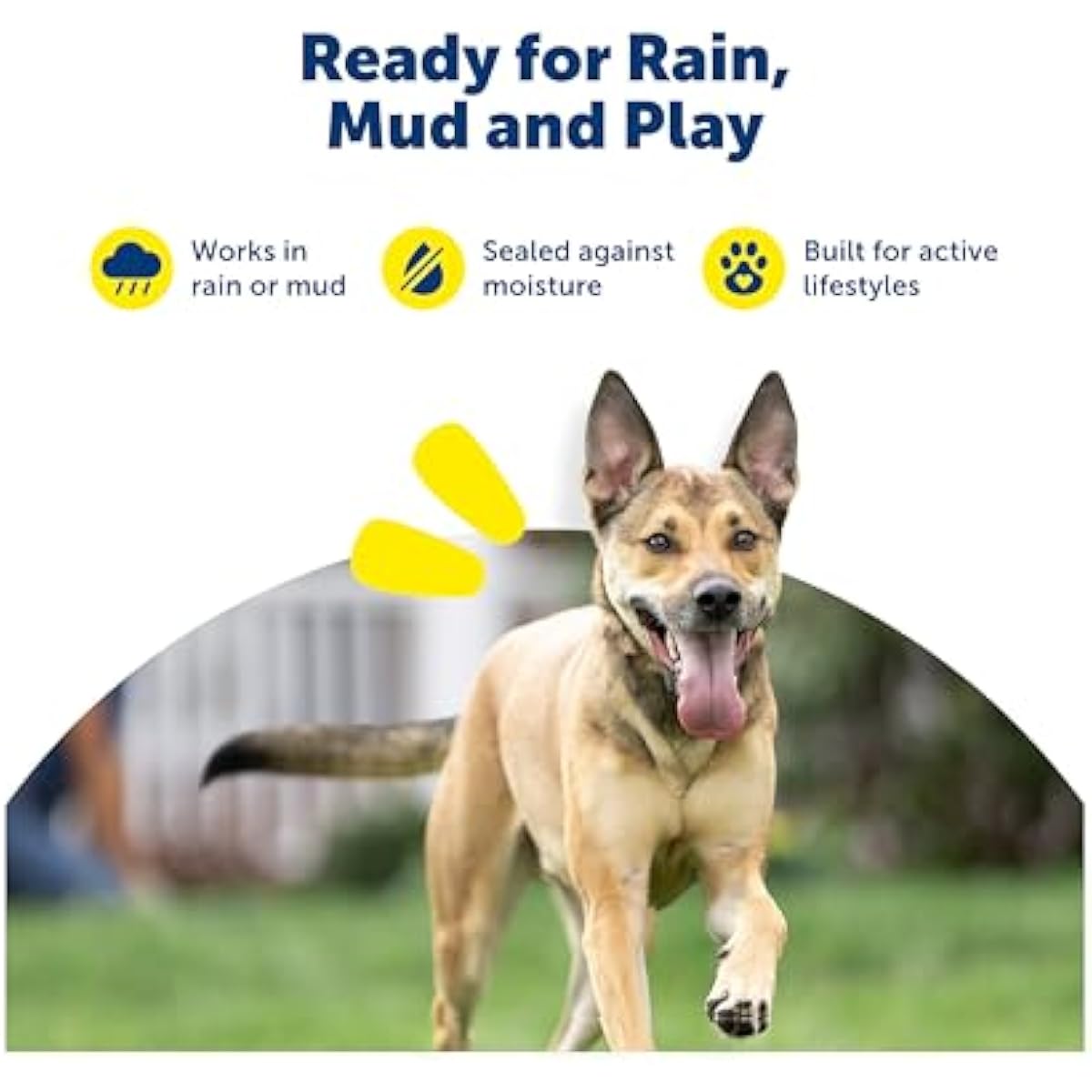 PetSafe Dog Collar Batteries (2 Pack) Dog Collar Battery Waterproof Lithium Metal Product, Rfa-67d-11