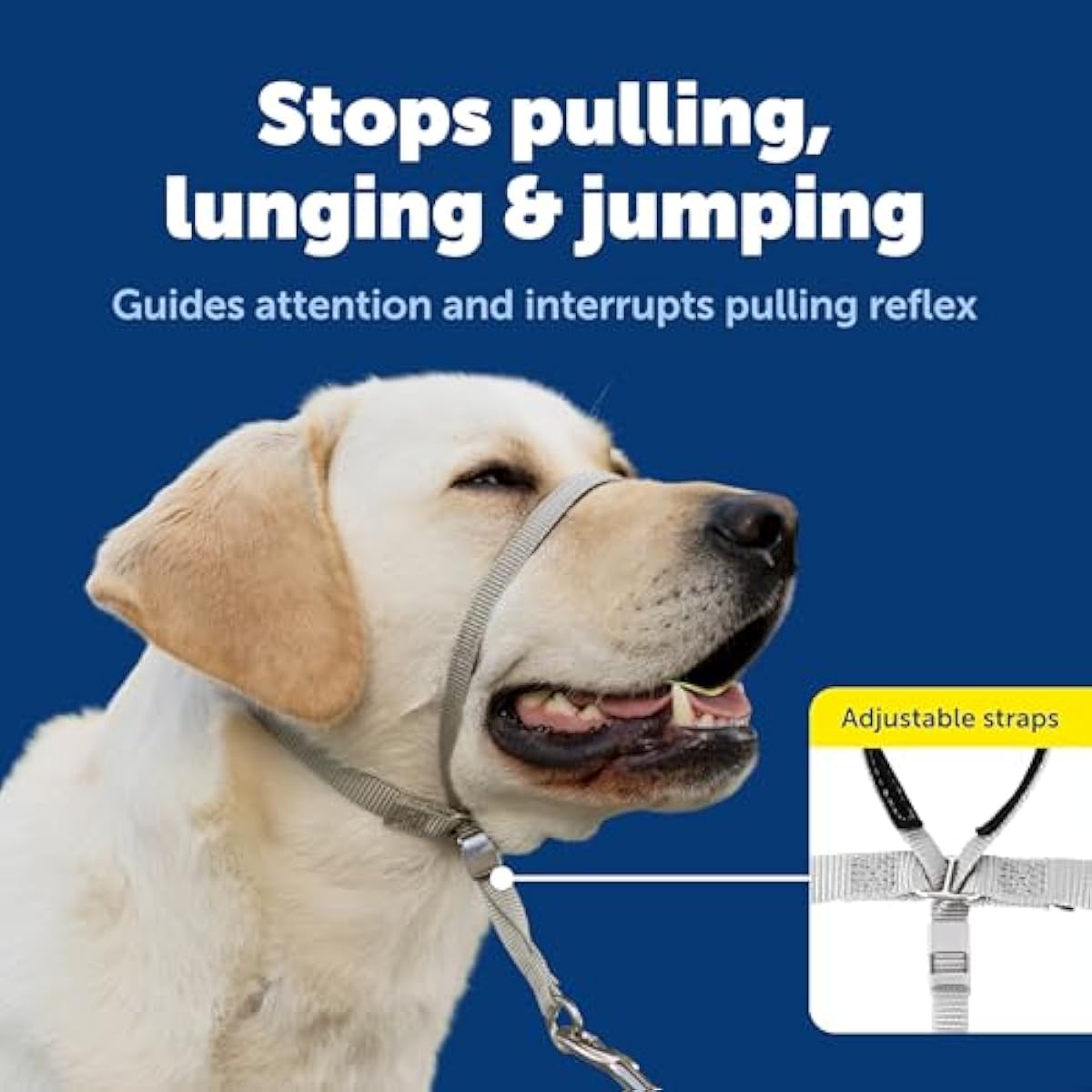 PetSafe Gentle Leader Headcollar - No-pull dog collar for medium black size - Durable nylon construction - Adjustable fit