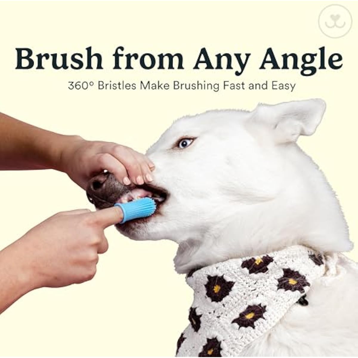 Jasper 2-pack 360-degree dog toothbrush kit for small and large pets, blue