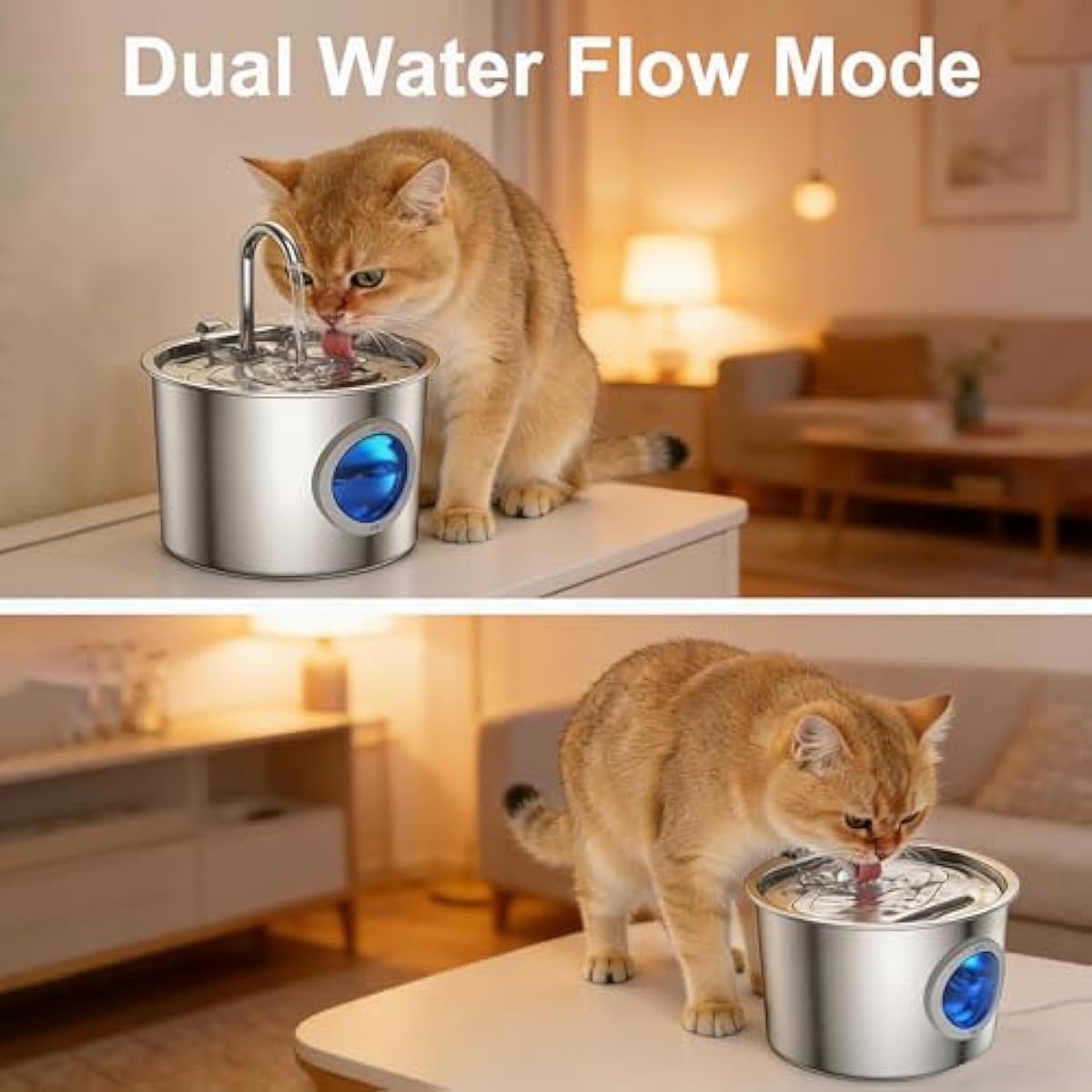 Cat Water Fountain Advanced 304 Stainless Steel 2.2L/74oz with Detachable Tank, Easy to Clean