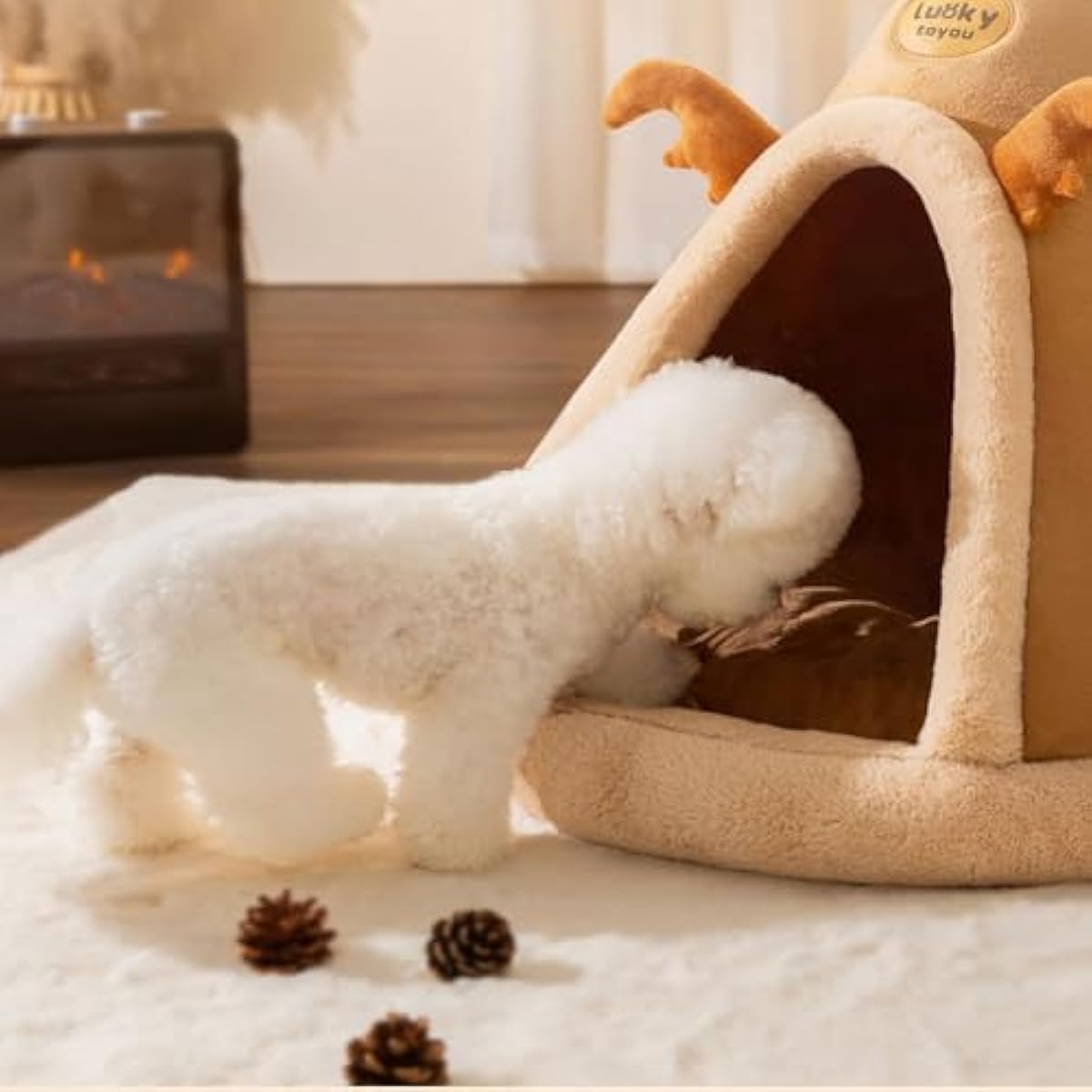 cat tent bed for small dogs and cats with thick cushion