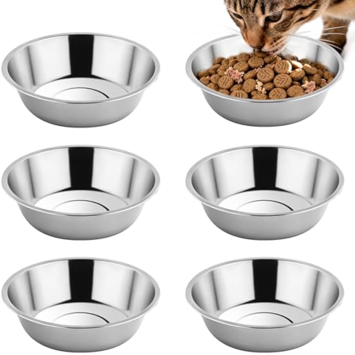 Tifanso 6PCS stainless steel cat bowls, 5.6" shallow wide whisker friendly metal kitten plates, indoor pet food tray, dishwasher safe