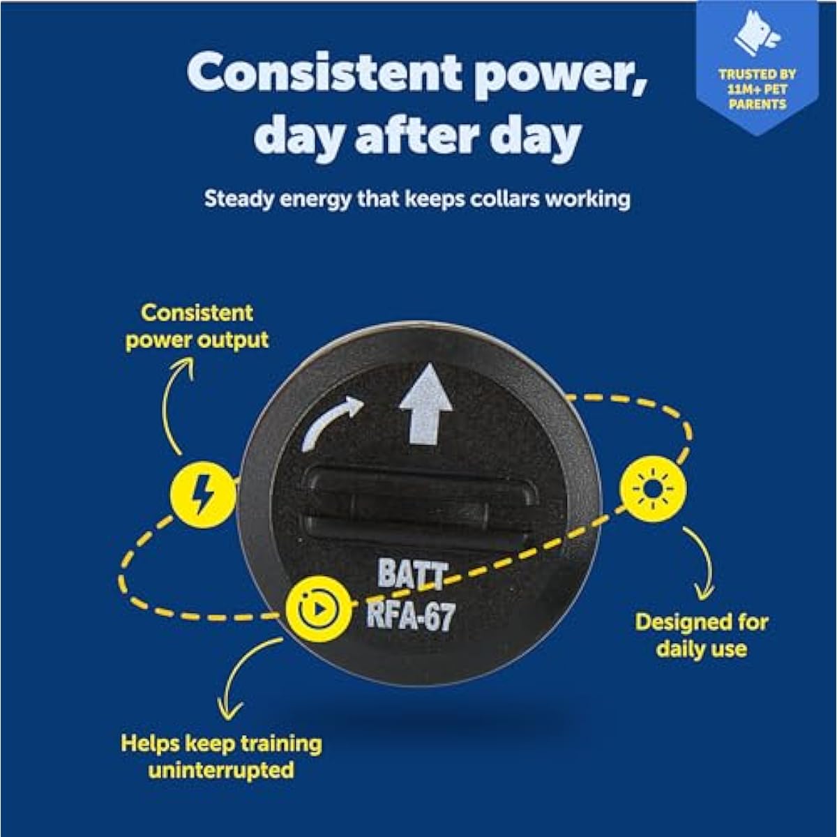 PetSafe Dog Collar Batteries (2 Pack) Dog Collar Battery Waterproof Lithium Metal Product, Rfa-67d-11