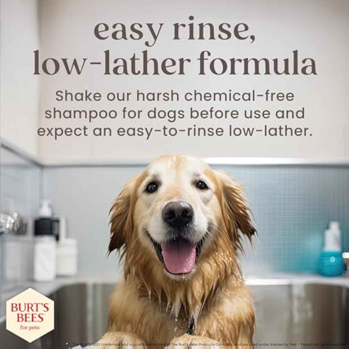 Burt’s Bees for Pets Itch Shampoo with Manuka Honey and Chamomile for Dogs, Itch Relief for Dogs - Naturally Derived Ingredients, 16 Fl Oz