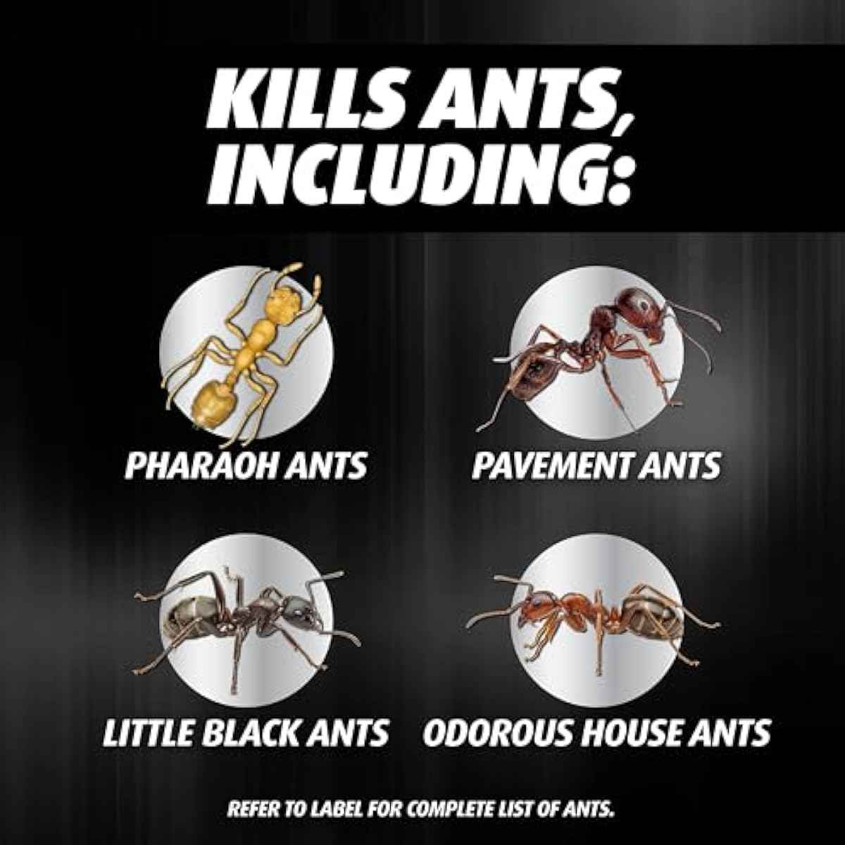 Ortho Orthene Ant Killer Ant Bait, Indoor Ant Killer, Kills The Queen and The Colony, 12 Stations
