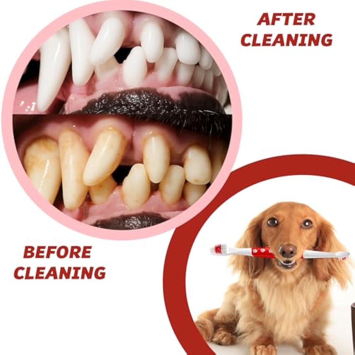 Red Pet Toothbrush for Medium & Large Dogs and Cats with Soft Bristles - Easy Teeth Cleaning