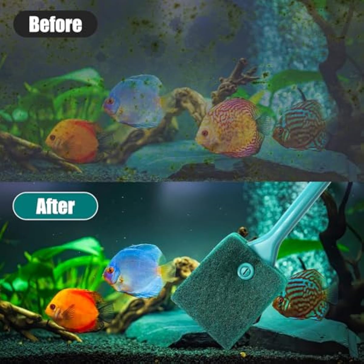 AQUANEAT Aquarium Double Sided Sponge Brush Algae Scraper with Long Handle for Glass Tanks