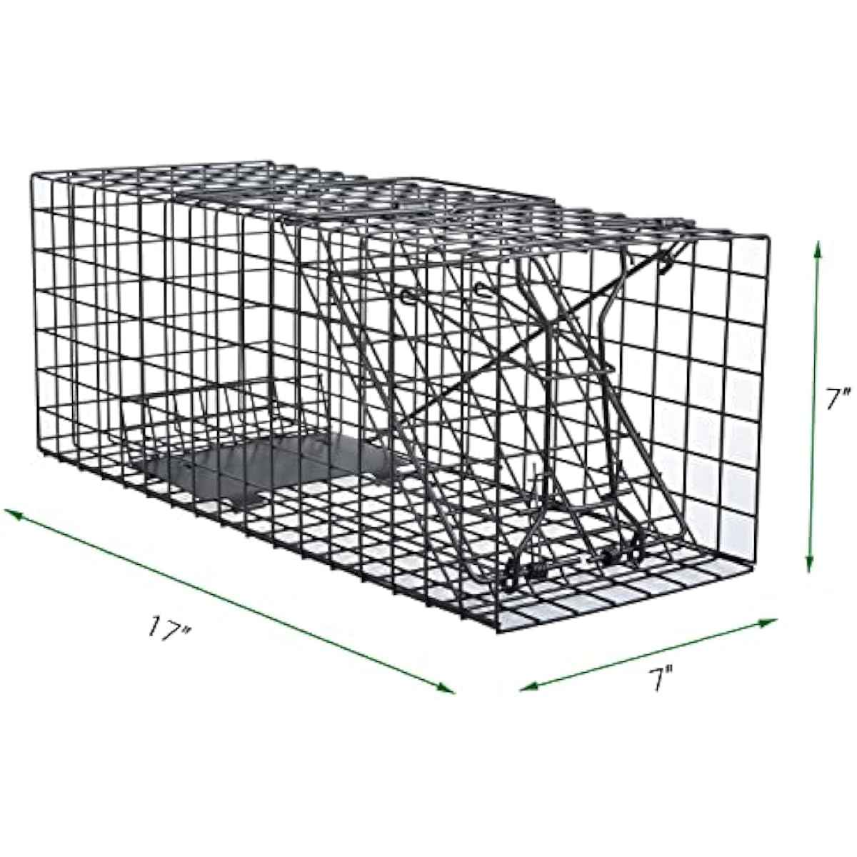 Live Squirrel Trap Heavy Duty Humane Animal Cage Trap (No Assembly Required)