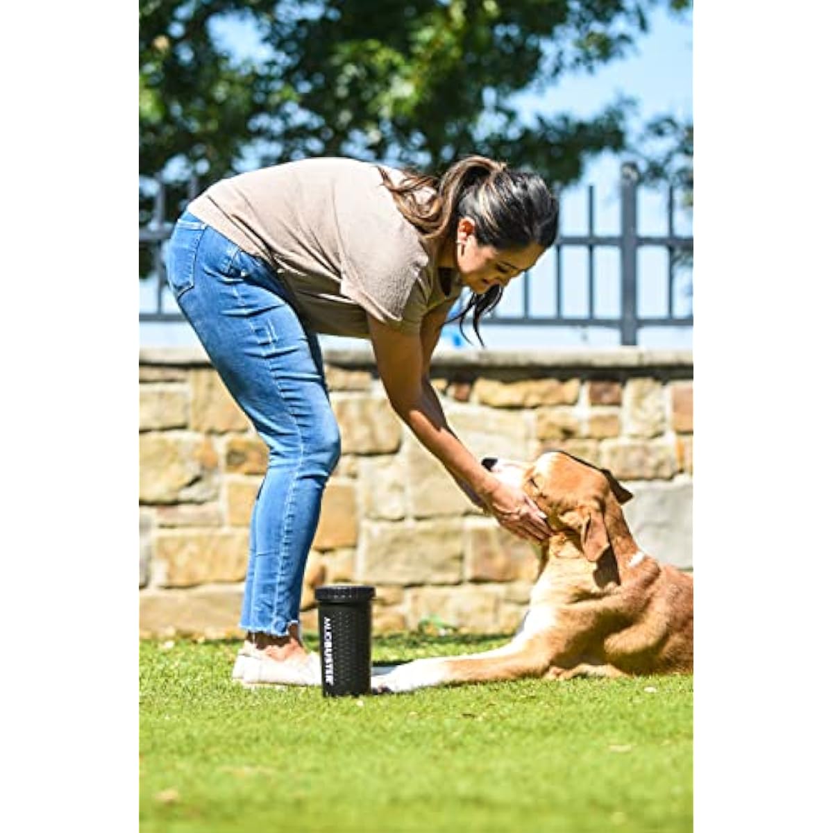 Dexas MudBuster Portable Dog Paw Washer in Large, Matte Black, Special Edition for Easy Cleaning