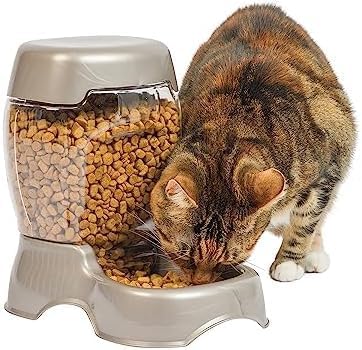 petmate pet cafe feeder dog and cat feeder, 3 sizes, made in usa, pearlescent colors
