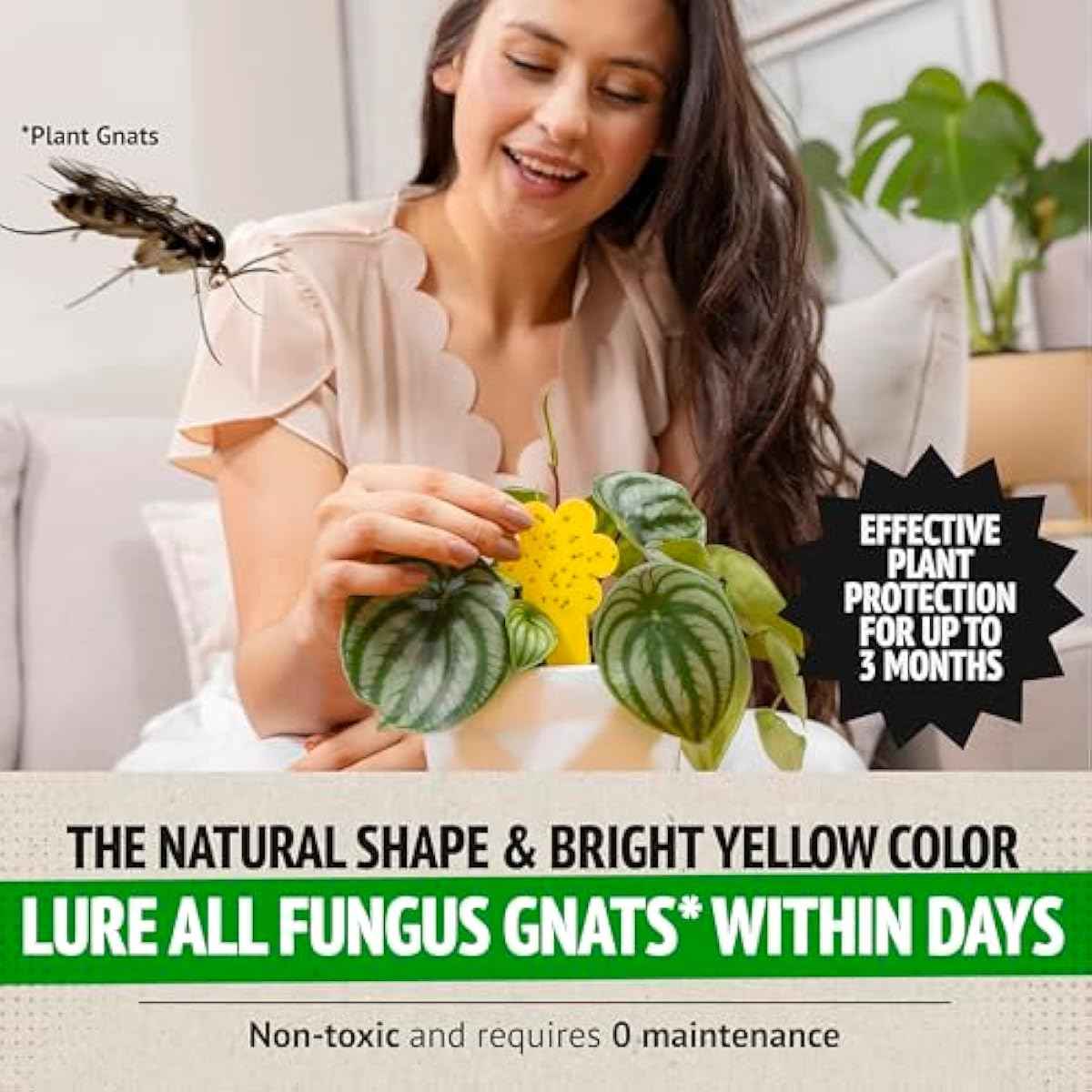 Super Ninja Fungus Gnat Traps - 30 Pack, Highly Effective Gnat Traps for House Indoor, Yellow Sticky Trap for Plants, Non-Toxic & Nature-Friendly, Up to 3 Months