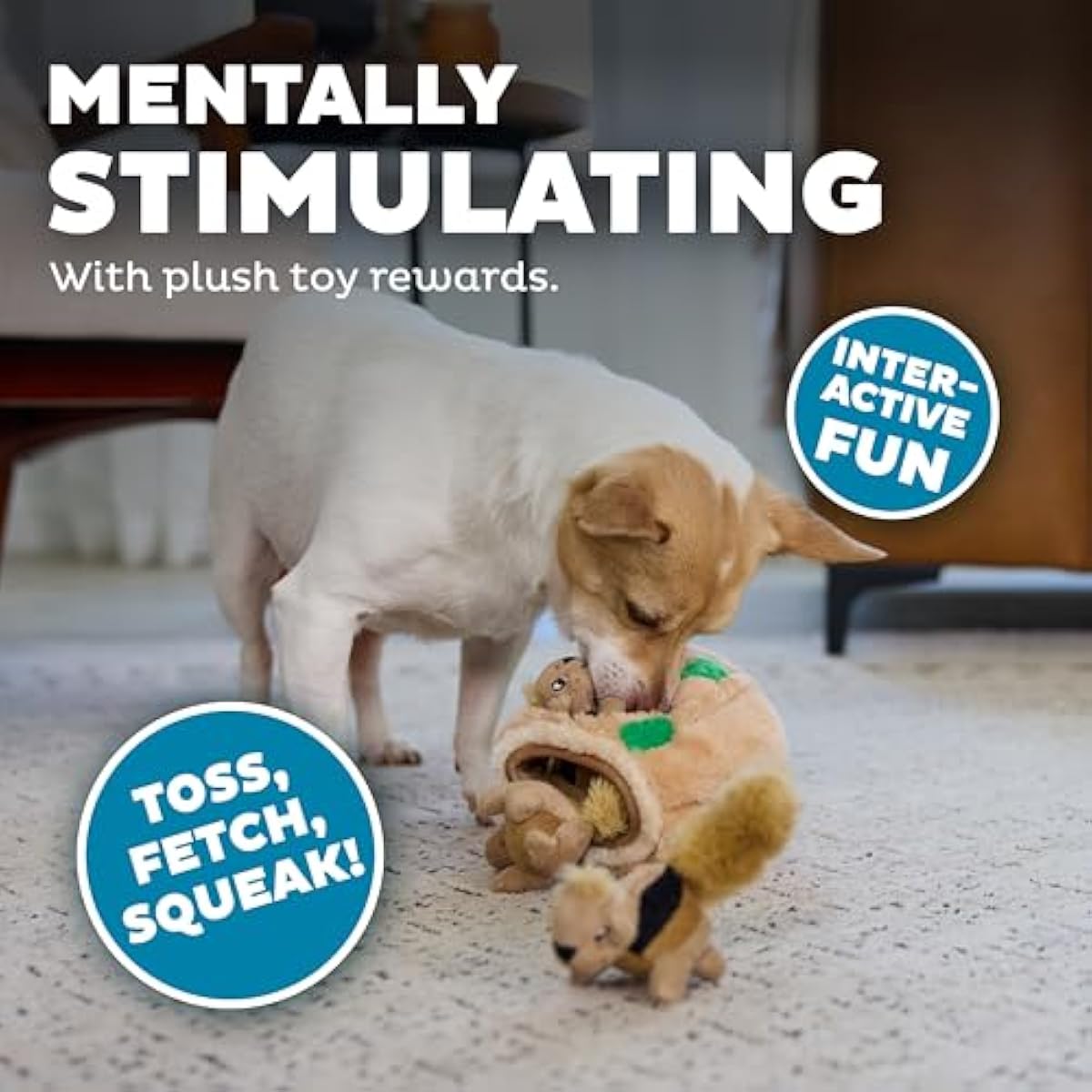 outward hound hide-a-squirrel dog toy small plush puzzle 2-in-1 interactive squeaky