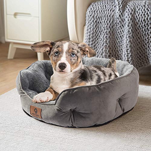 asvin small dog bed, soft and cozy, machine washable, anti-slip oxford bottom, grey, 20 inches