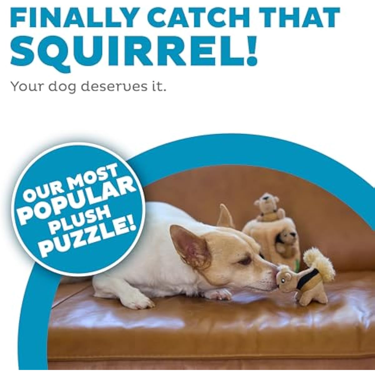 outward hound hide-a-squirrel dog toy small plush puzzle 2-in-1 interactive squeaky