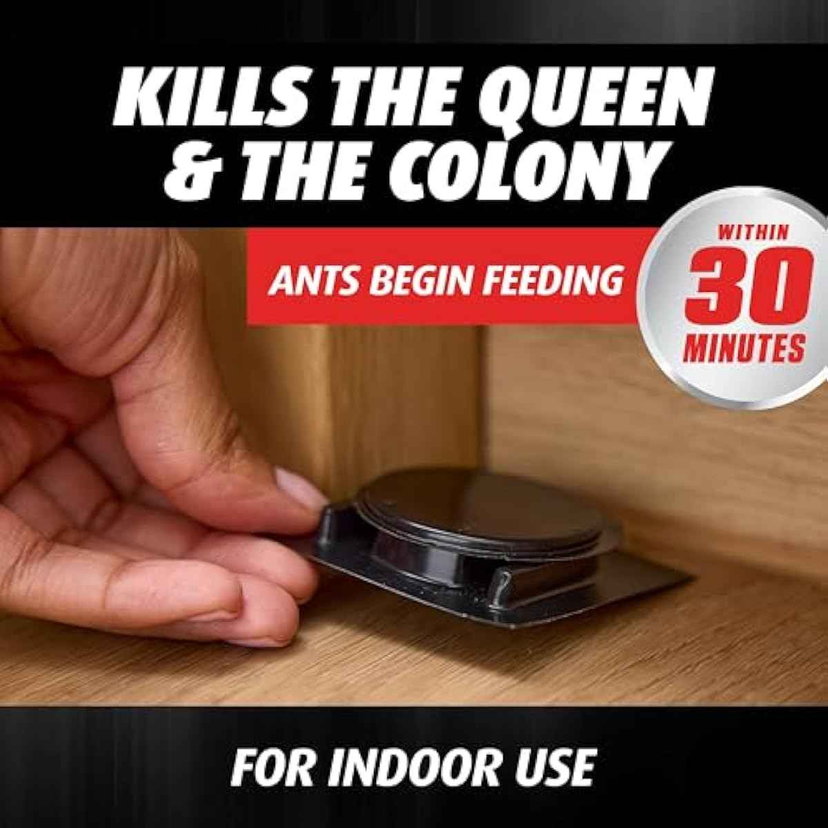 Ortho Orthene Ant Killer Ant Bait, Indoor Ant Killer, Kills The Queen and The Colony, 12 Stations