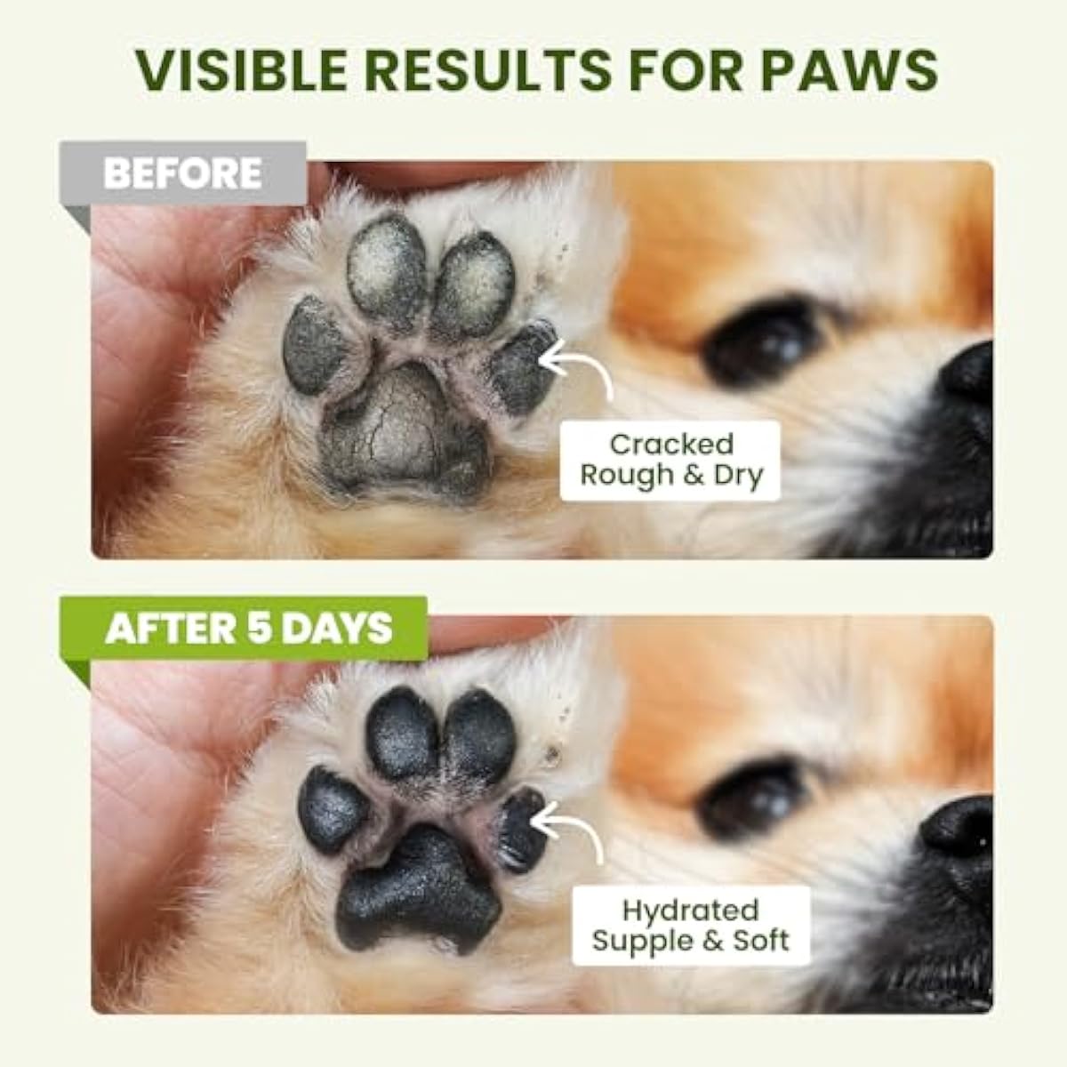 Lick-Safe Dog Paw & Nose Balm with Coconut Oil | Winter Snow, Road Salt & Cold Pavement Protector | All-Natural Moisturizer & Soother for Dry, Cracked Pads & Snout | Horse Hoof, Joint Care