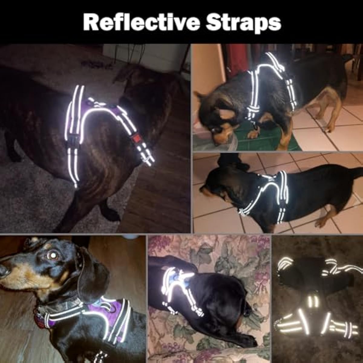 phoepet medium reflective dog harness with handle adjustable 2 metal rings orange