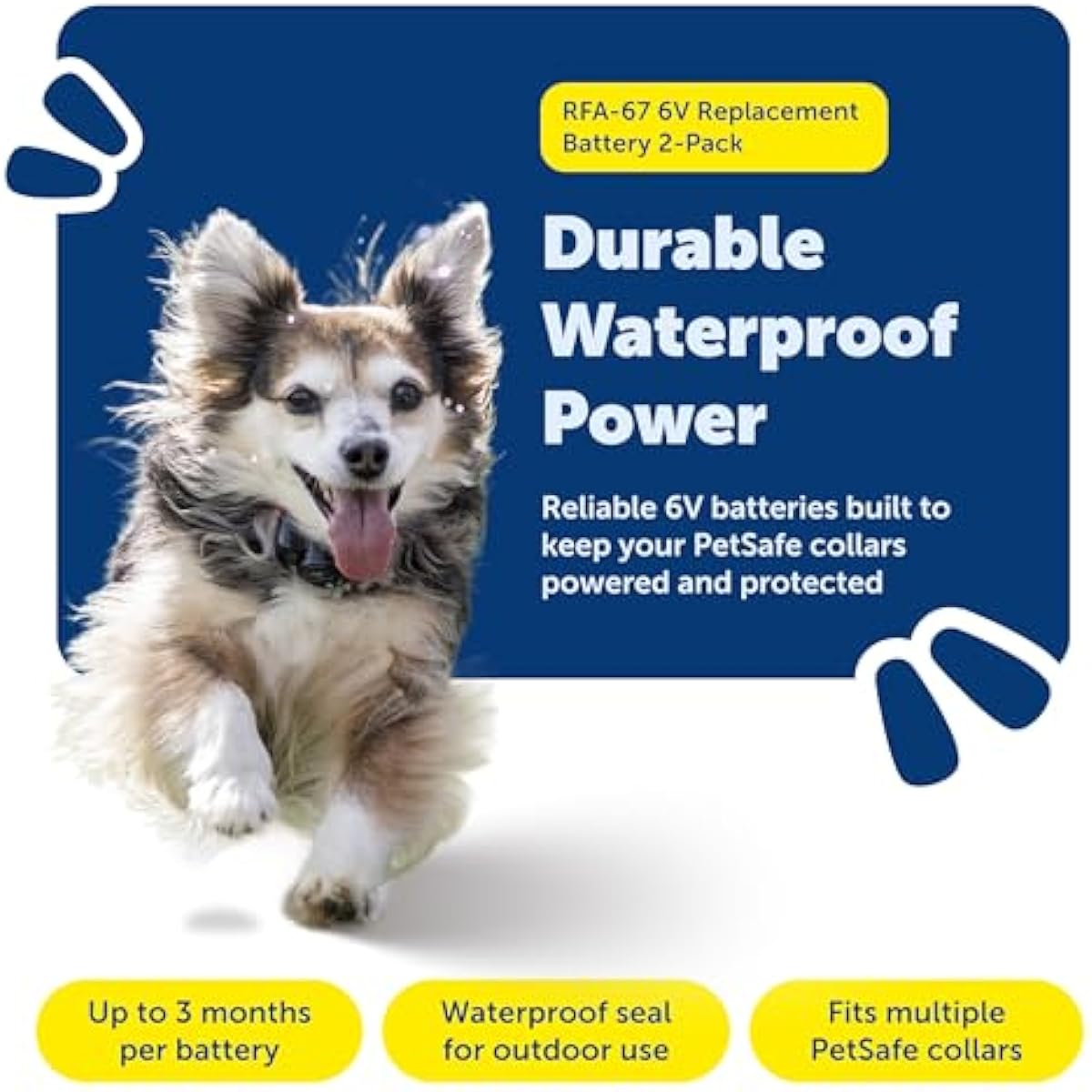 PetSafe Dog Collar Batteries (2 Pack) Dog Collar Battery Waterproof Lithium Metal Product, Rfa-67d-11
