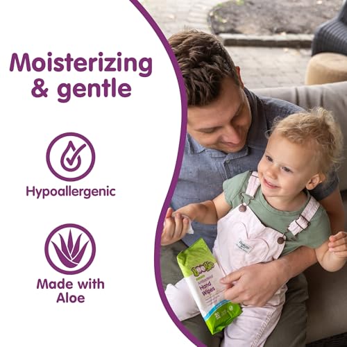 Boogie Antibacterial Hand Wipes, 100 Total Wipes, 5 Packs of 20, Alcohol Free, Hypoallergenic, Moisturizing Aloe for Kids and Adults
