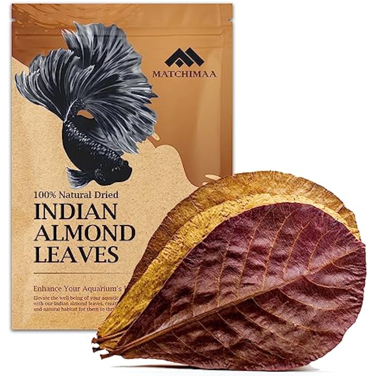 Premium Indian Almond Leave. Aquarium Decorations Size 6-9" Pack 50g(20-25 Leaves). Catappa Leaves Rich in Tannin. Superb to be Health Better, Vitality, Succesful Breeding! of Shrimp & Betta Fish Tank