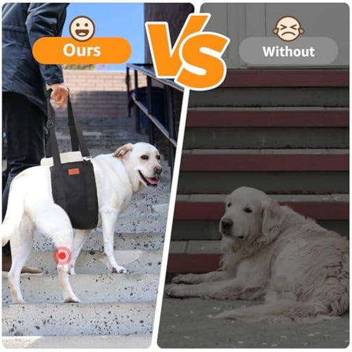 Adjustable dog lift harness for large dogs hind leg support with soft lift and rehab features