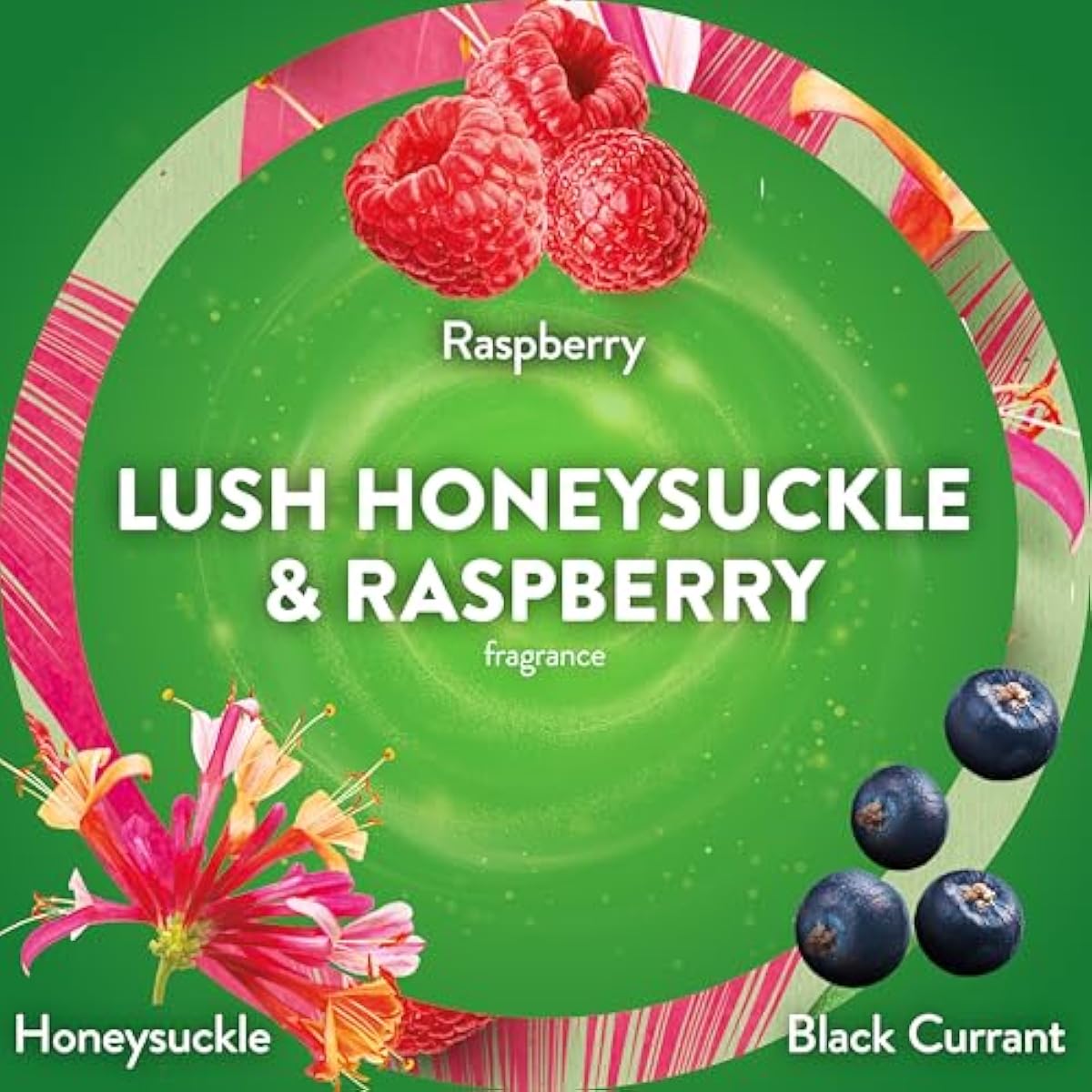 Air Wick plug in scented oil refill, honeysuckle & raspberry, 4 count, essential oils