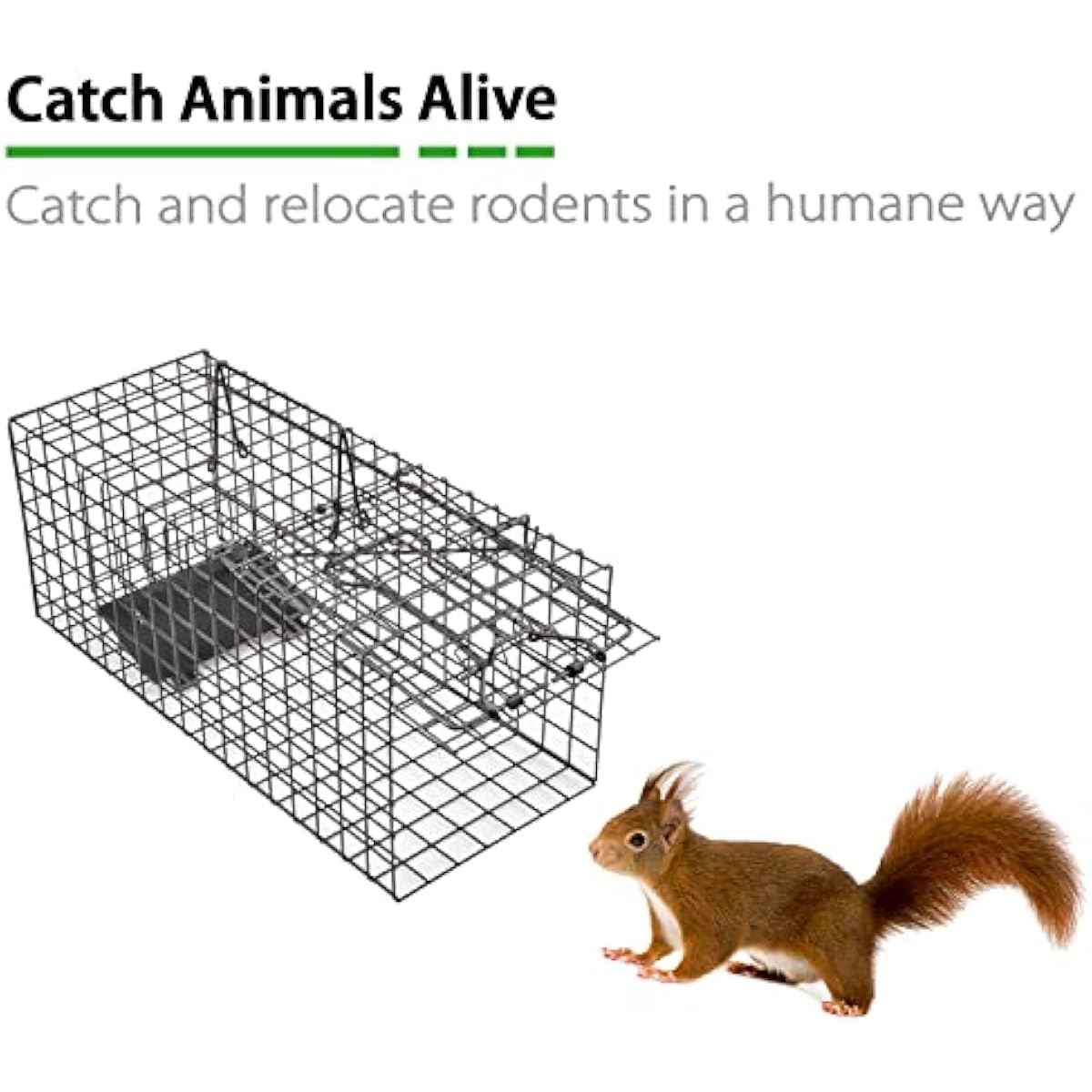 Live Squirrel Trap Heavy Duty Humane Animal Cage Trap (No Assembly Required)