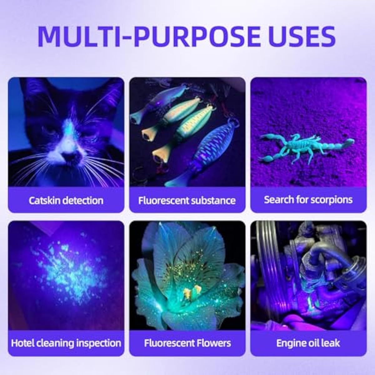 Blacklight Flashlight UV 12-LED Small Portable Mini for Hidden Stain Detection and Pet Urine