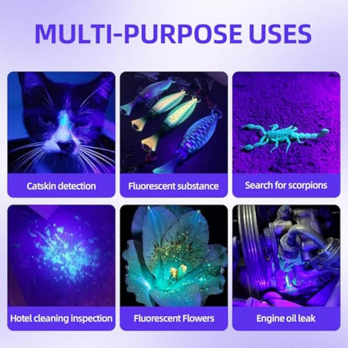 Blacklight Flashlight UV 12-LED Small Portable Mini for Hidden Stain Detection and Pet Urine