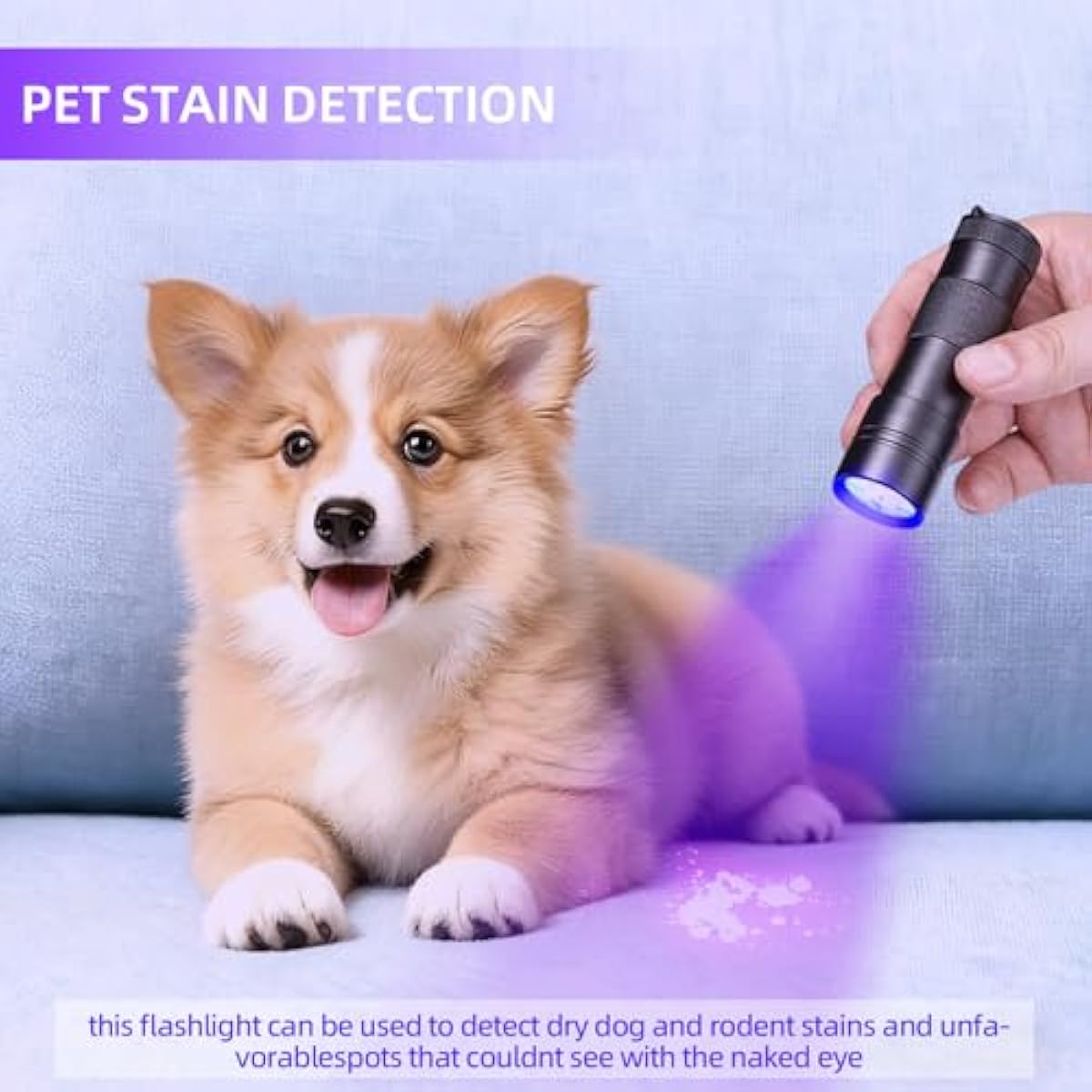 Blacklight Flashlight UV 12-LED Small Portable Mini for Hidden Stain Detection and Pet Urine