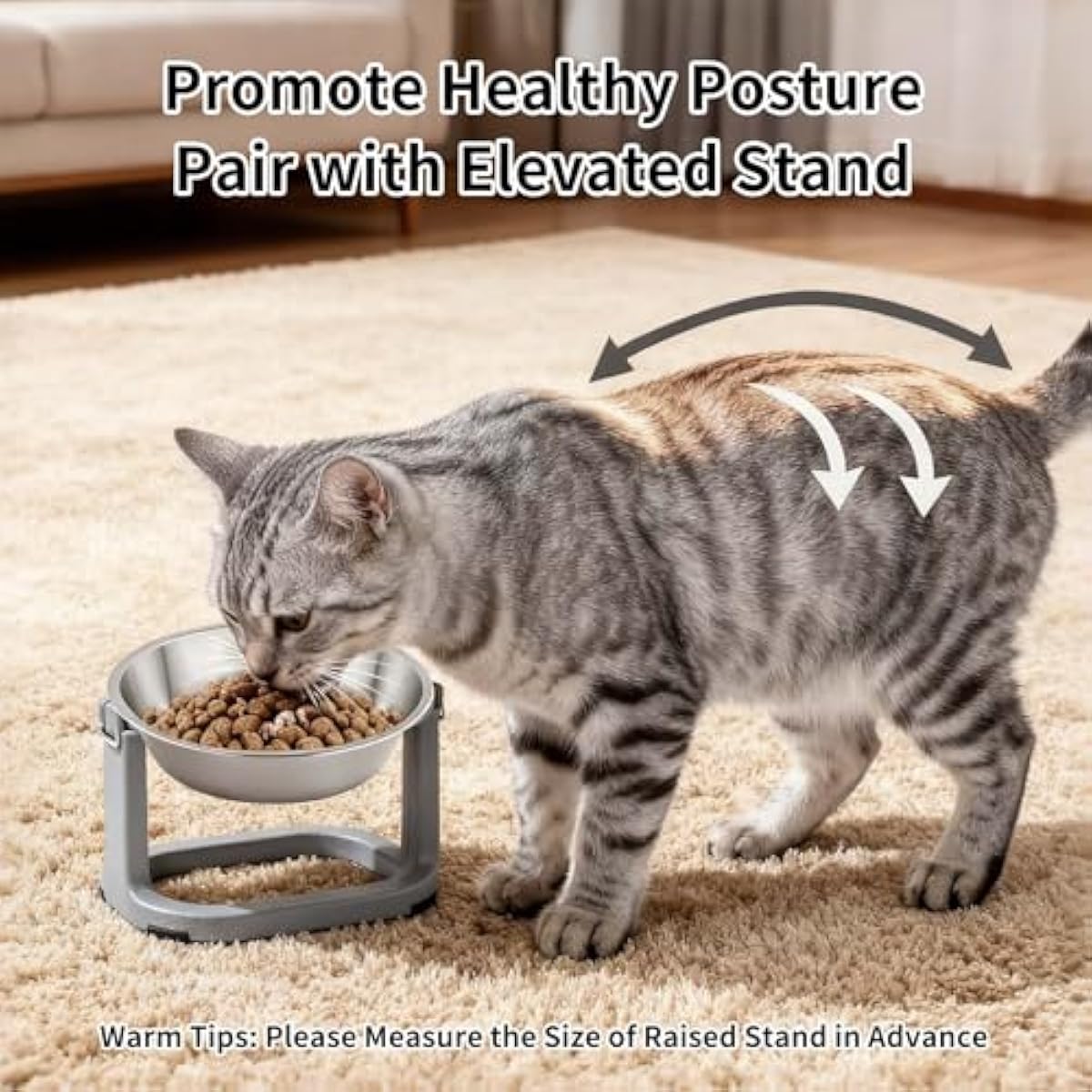 Tifanso 6PCS stainless steel cat bowls, 5.6" shallow wide whisker friendly metal kitten plates, indoor pet food tray, dishwasher safe