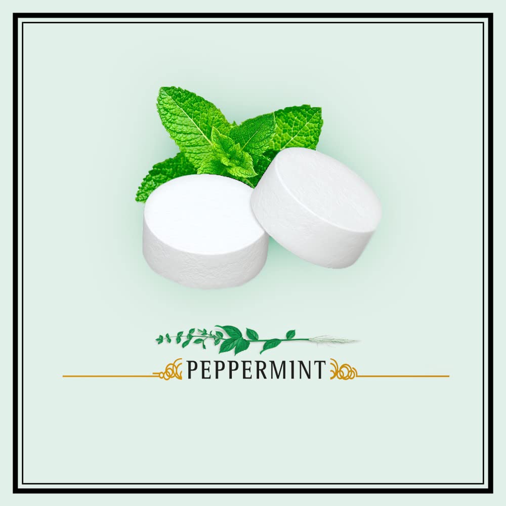 altoids classic peppermint breath mints 12 pack 1.76 ounce tin