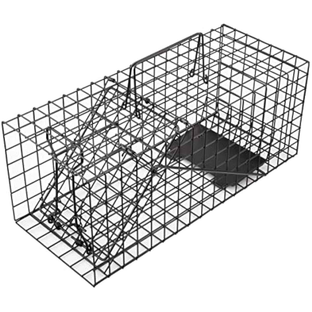 Live Squirrel Trap Heavy Duty Humane Animal Cage Trap (No Assembly Required)