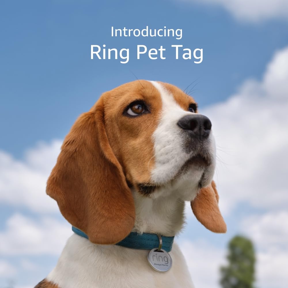 Easy-to-use pet tag with qr code and real-time scan alerts, shareable pet profile, no subscription or fees