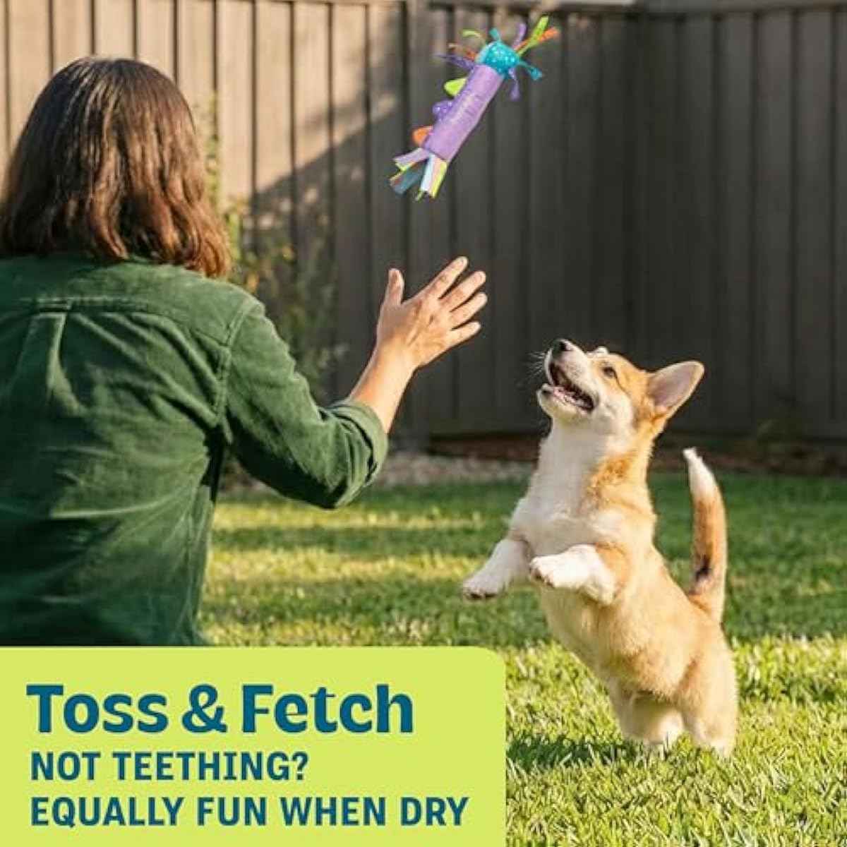 Petstages Pupstages Cool Teething Stick – Puppy Chew Toy for 0–6 Month Puppies, Teething Relief, Freezable & Durable