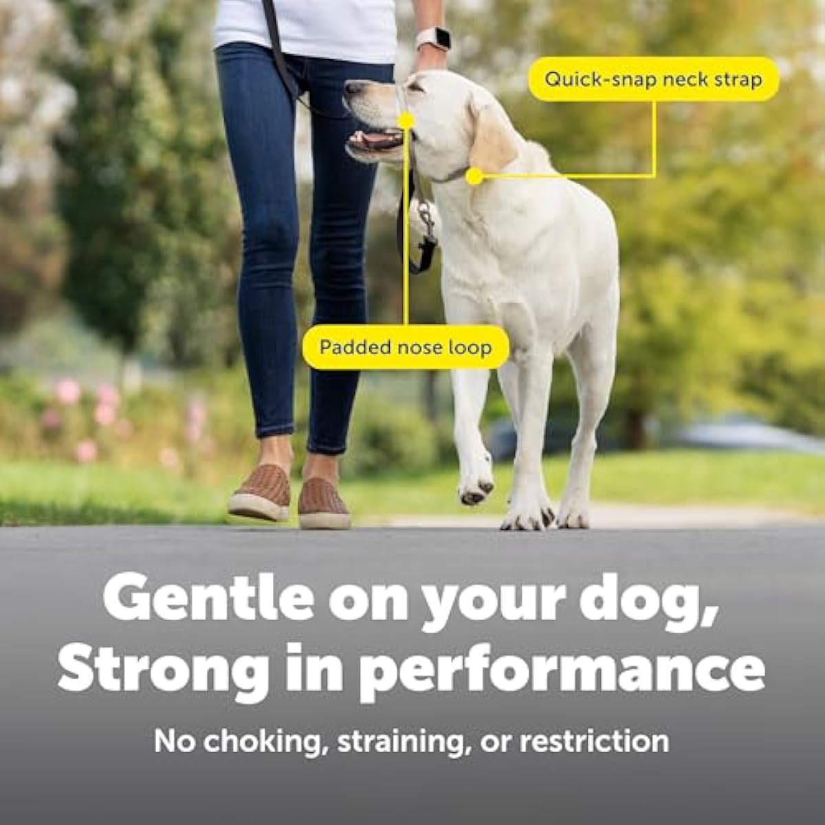 PetSafe Gentle Leader Headcollar - No-pull dog collar for medium black size - Durable nylon construction - Adjustable fit