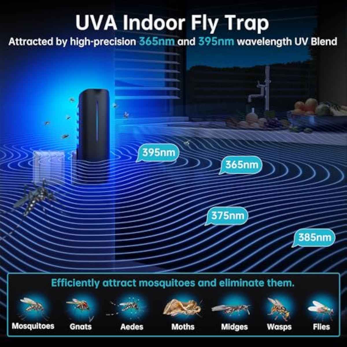 Flying Insect Trap Plug in Mosquito Bug Zapper Indoor Gnat Moth Catcher with 9W Night UV Light, 10 Sticky Glue Board Refills for Home Office