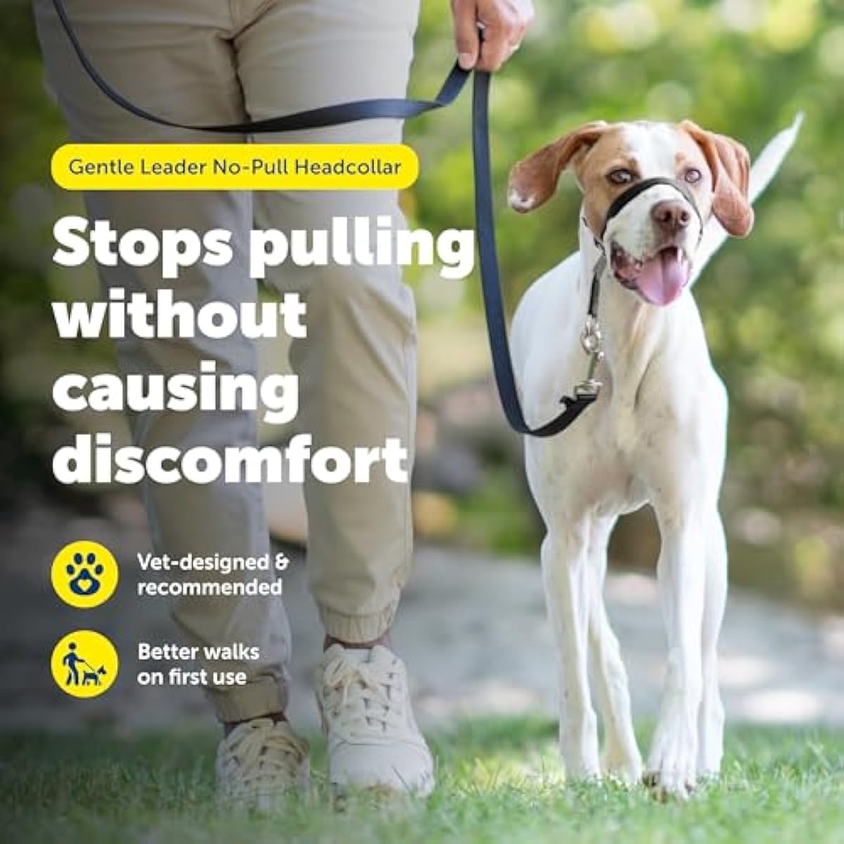 PetSafe Gentle Leader Headcollar - No-pull dog collar for medium black size - Durable nylon construction - Adjustable fit