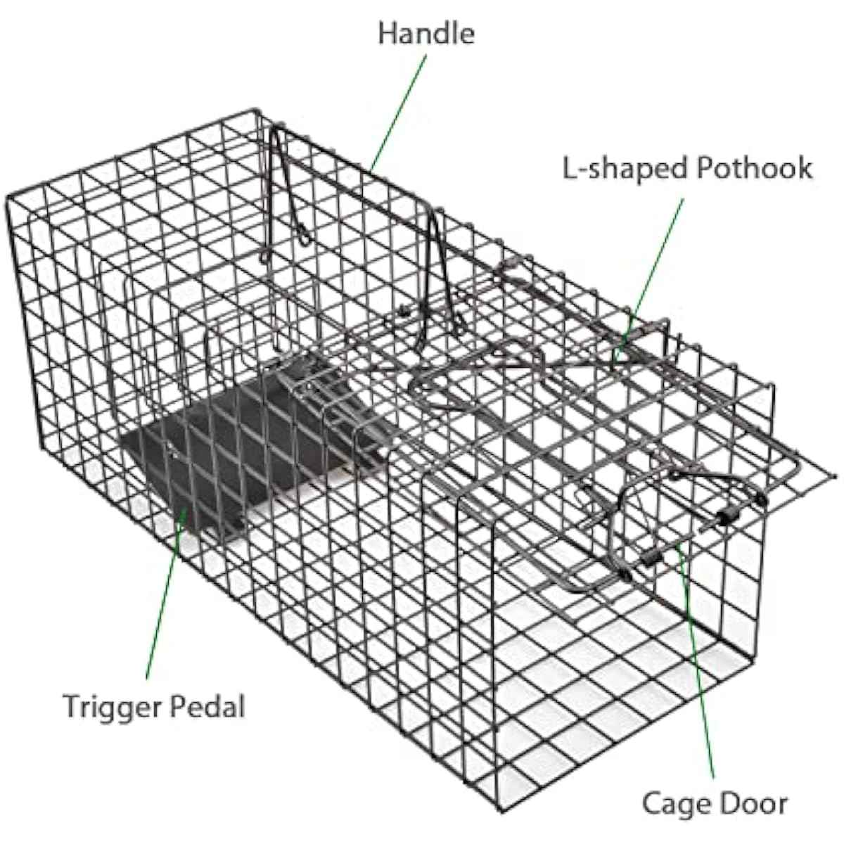 Live Squirrel Trap Heavy Duty Humane Animal Cage Trap (No Assembly Required)