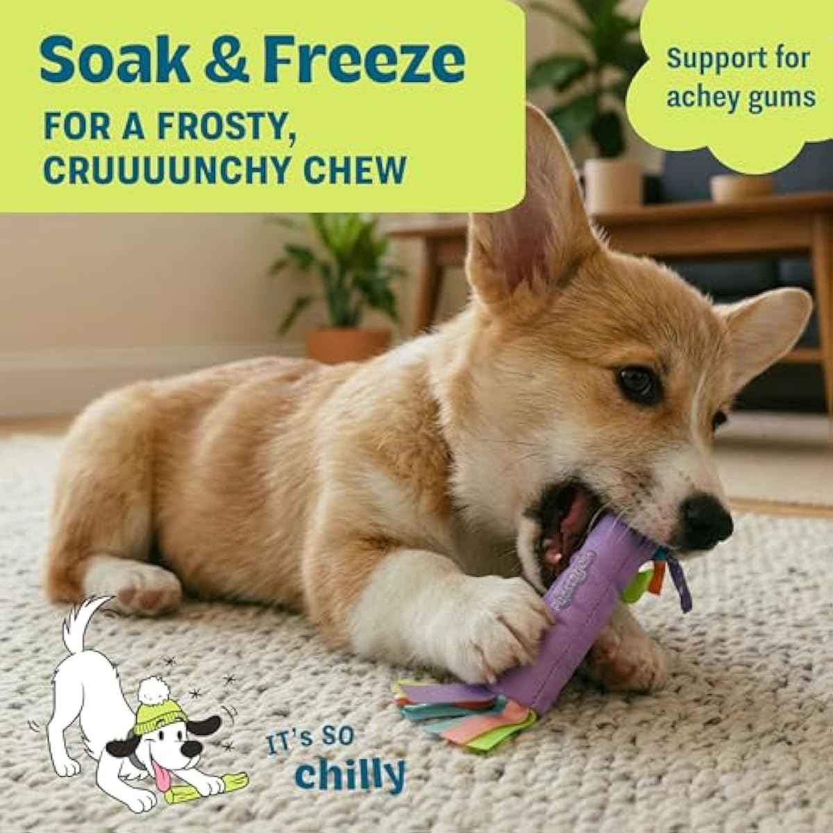 Petstages Pupstages Cool Teething Stick – Puppy Chew Toy for 0–6 Month Puppies, Teething Relief, Freezable & Durable