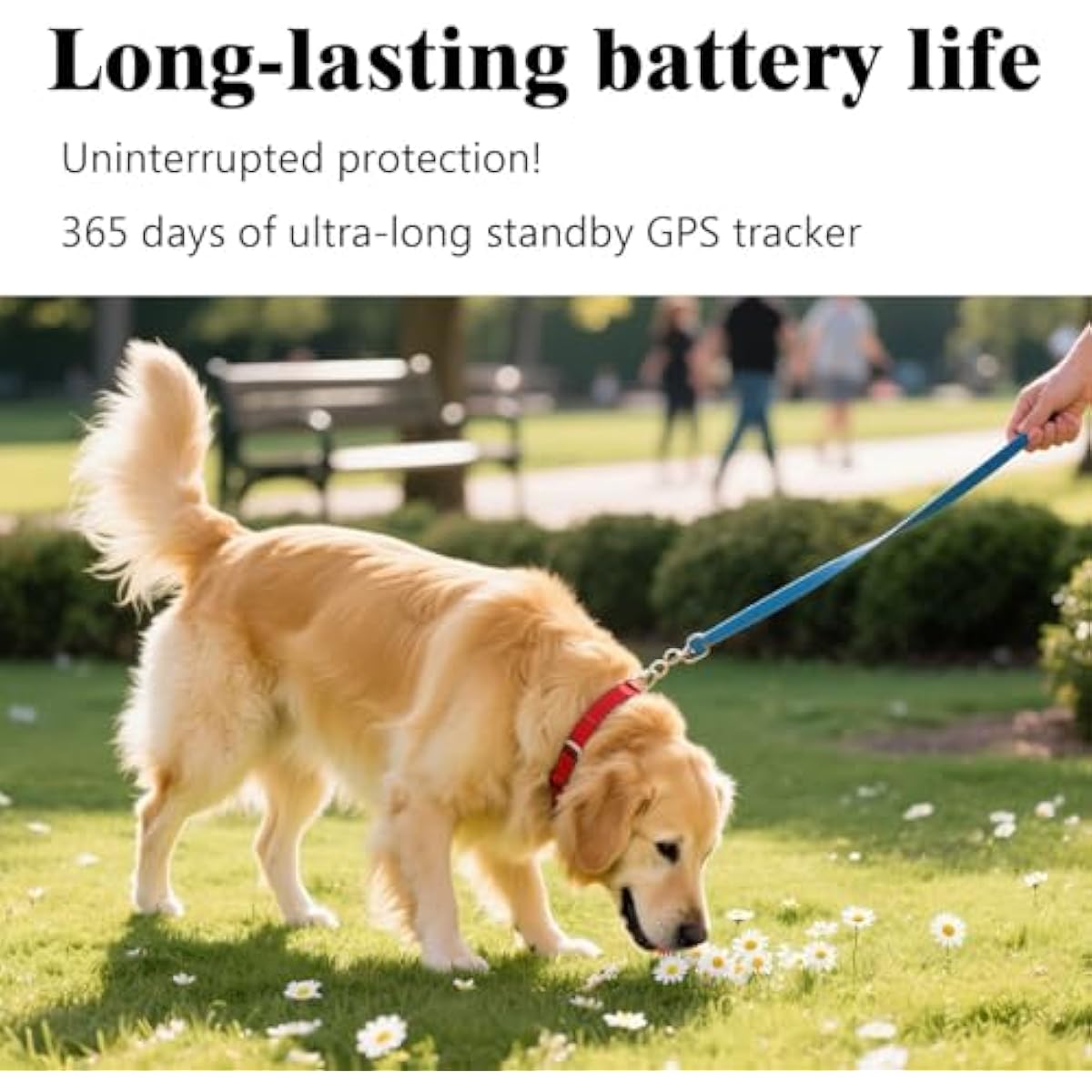 GPS Tracker for Dogs & Cats, No Subscription & No SIM Card, 365-Day Extra Long Battery Life, Real-Time Alerts & Historical Routes, Mini Waterproof Drop-Proof Pet Locator, Compatible with Android & iOS
