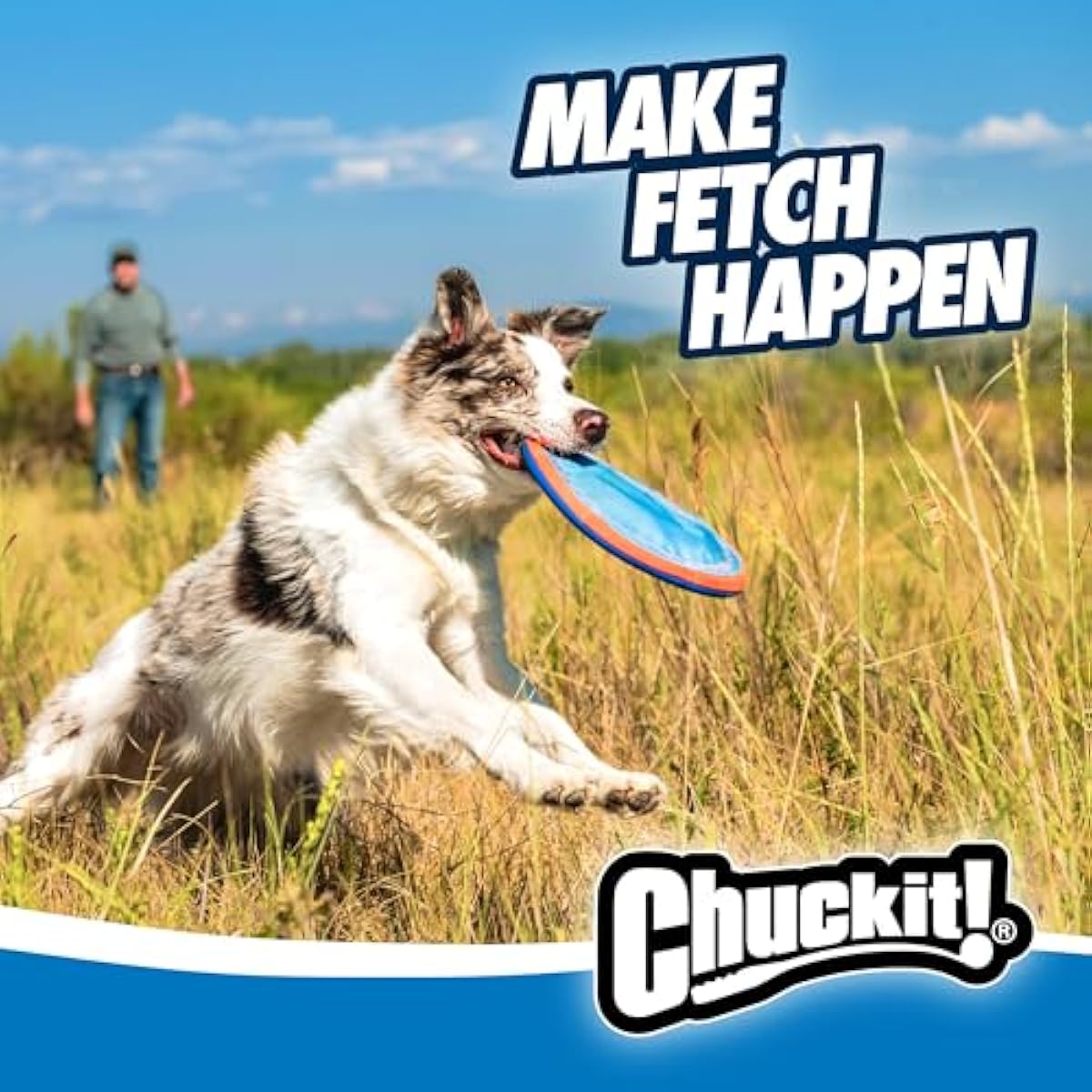 chuckit paraflight flying disc dog toy - water floating flyer - durable nylon with soft rubber edges - medium and large dogs - size large