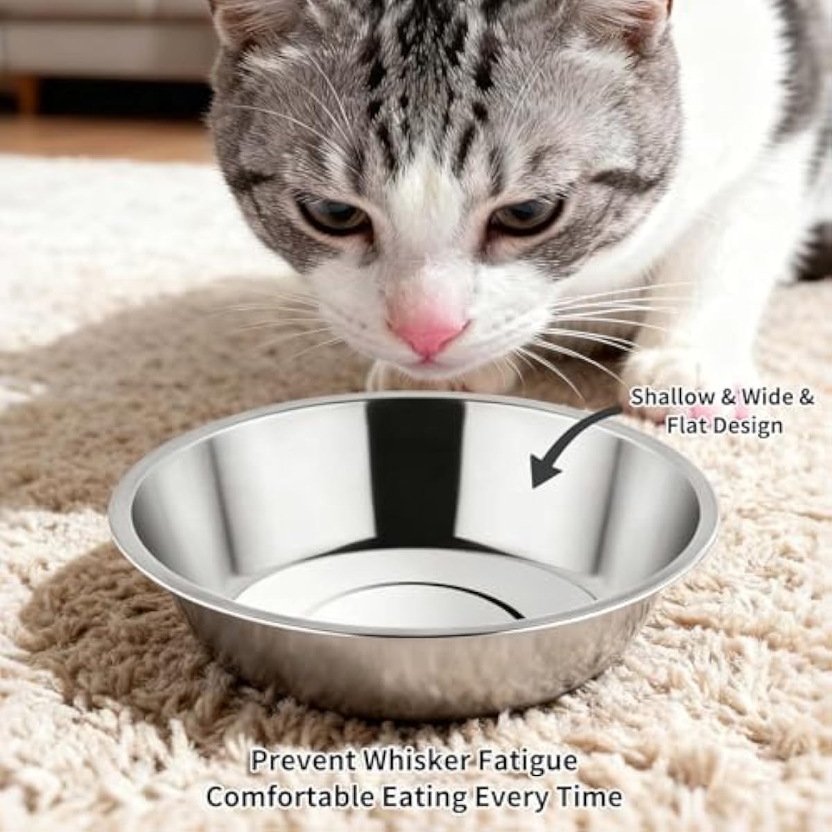 Tifanso 6PCS stainless steel cat bowls, 5.6" shallow wide whisker friendly metal kitten plates, indoor pet food tray, dishwasher safe