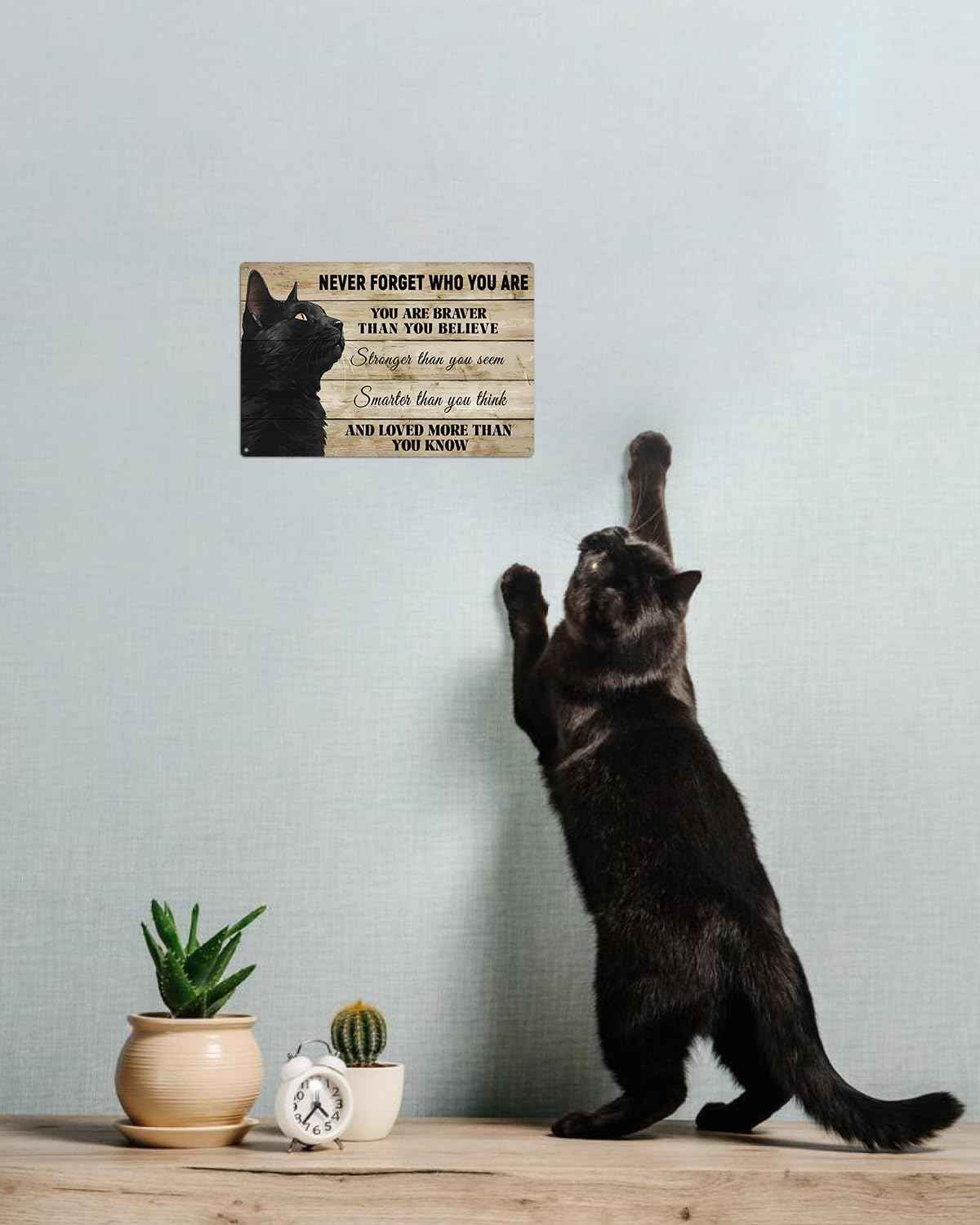 ALKB Never Forget Who You Are. Retro Metal Sign Black Cat Lovers Gift, Inspirational Wall Art Vintage Cat Decor for Home,Office,Bedroom 8 x 12 Inch