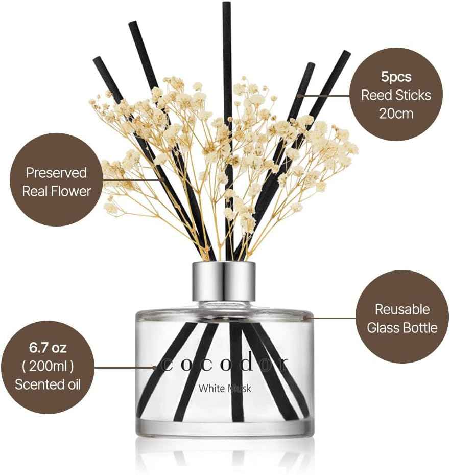 COCODOR Reed Diffuser Set with Preserved Baby's Breath with Sticks/April Breeze / 6.7oz / Scent Fragrance Oil Diffuser for Bedroom Bathroom Home Décor