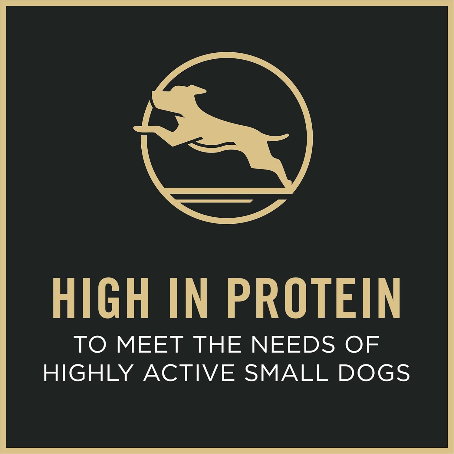 Purina Pro Plan Small Breed dry dog food for highly active dogs, shredded beef and rice formula with live probiotics, 6 lb bag