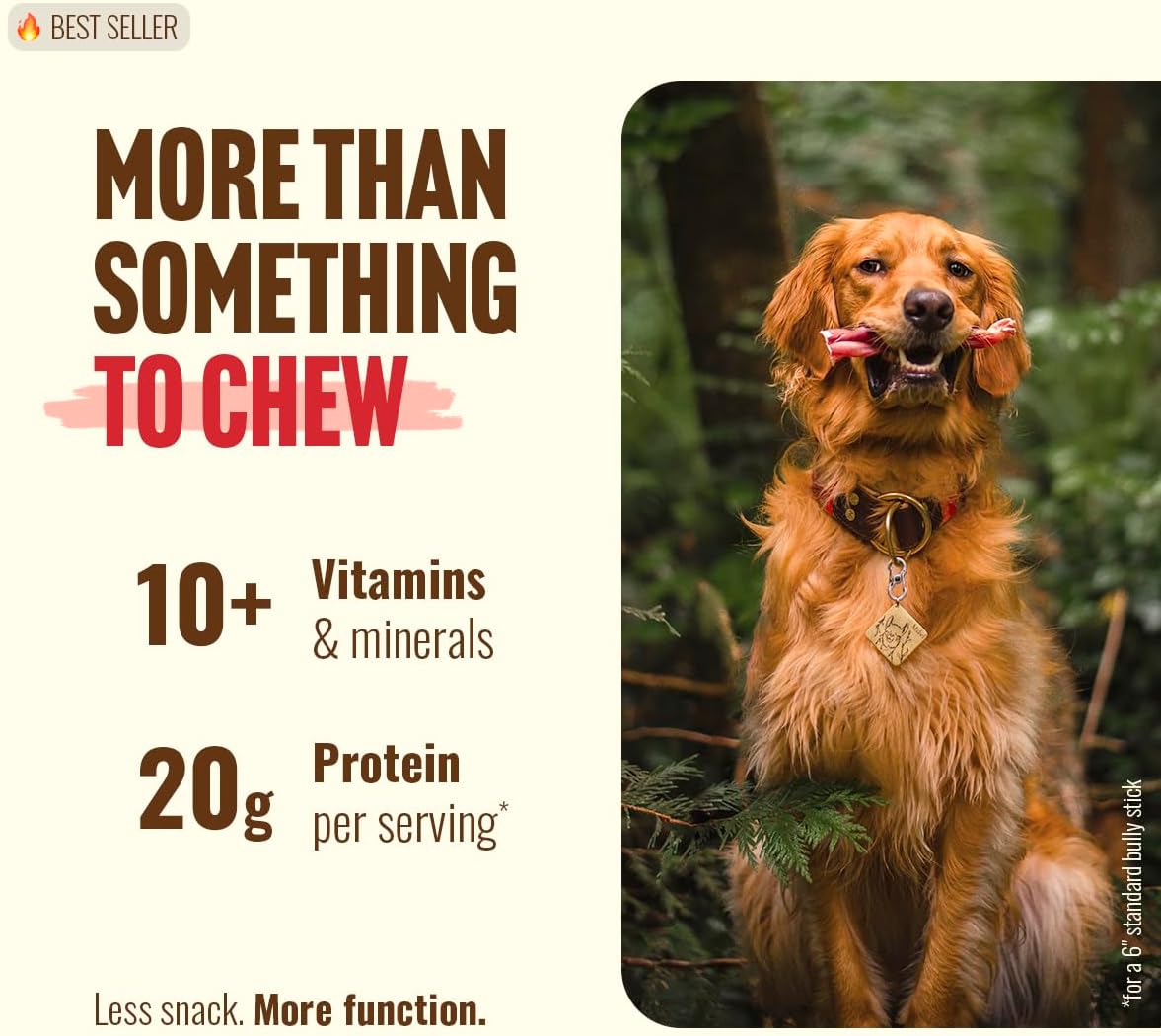 Natural Farm Odor-Free Bully Sticks 6 Inch 25 Count 100% Beef Pizzle Chews Grass-Fed Non-GMO Grain-Free