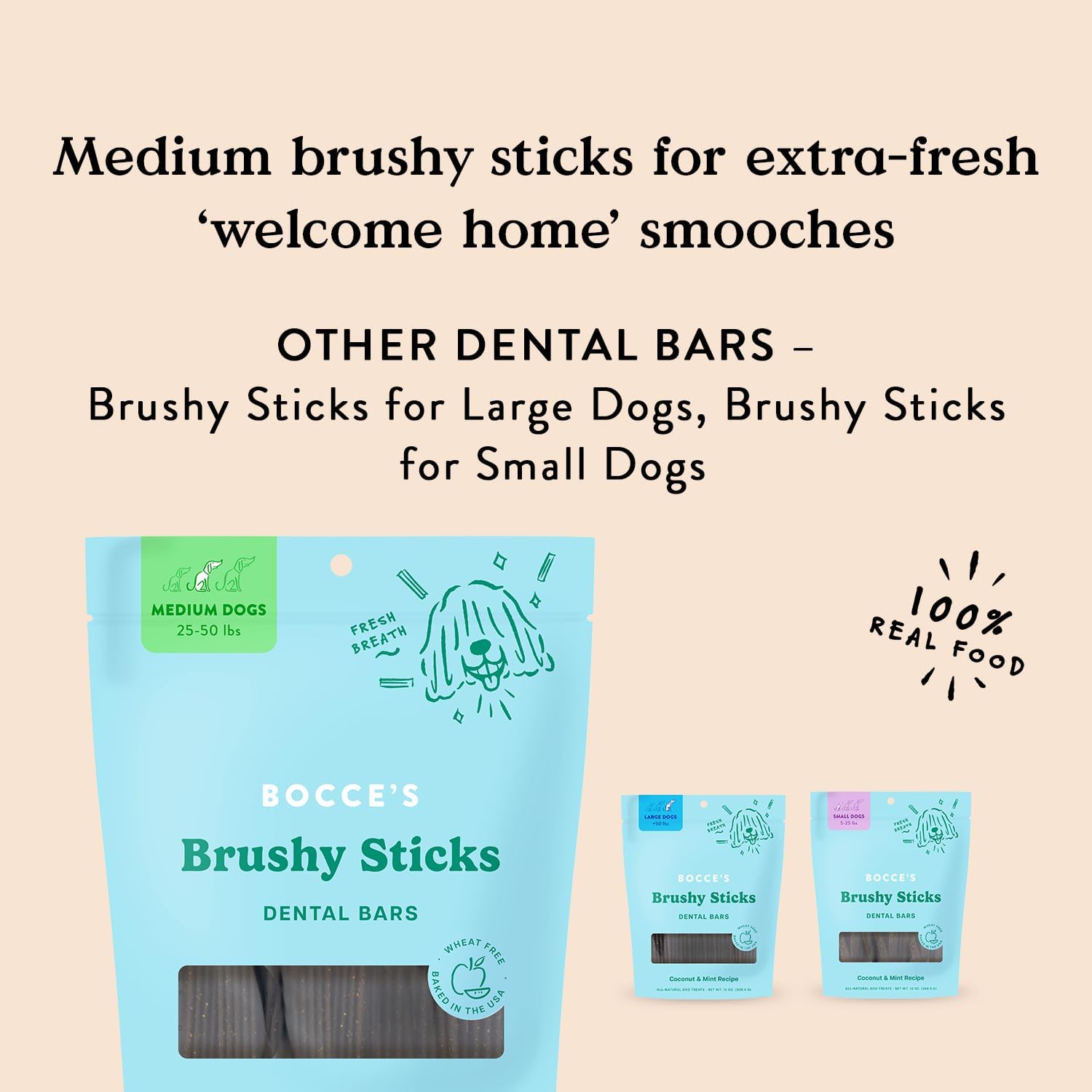 Bocce's Bakery Dailies Brushy Sticks for Medium Dogs, Wheat-Free, All-Natural Coconut & Mint, Baked in USA