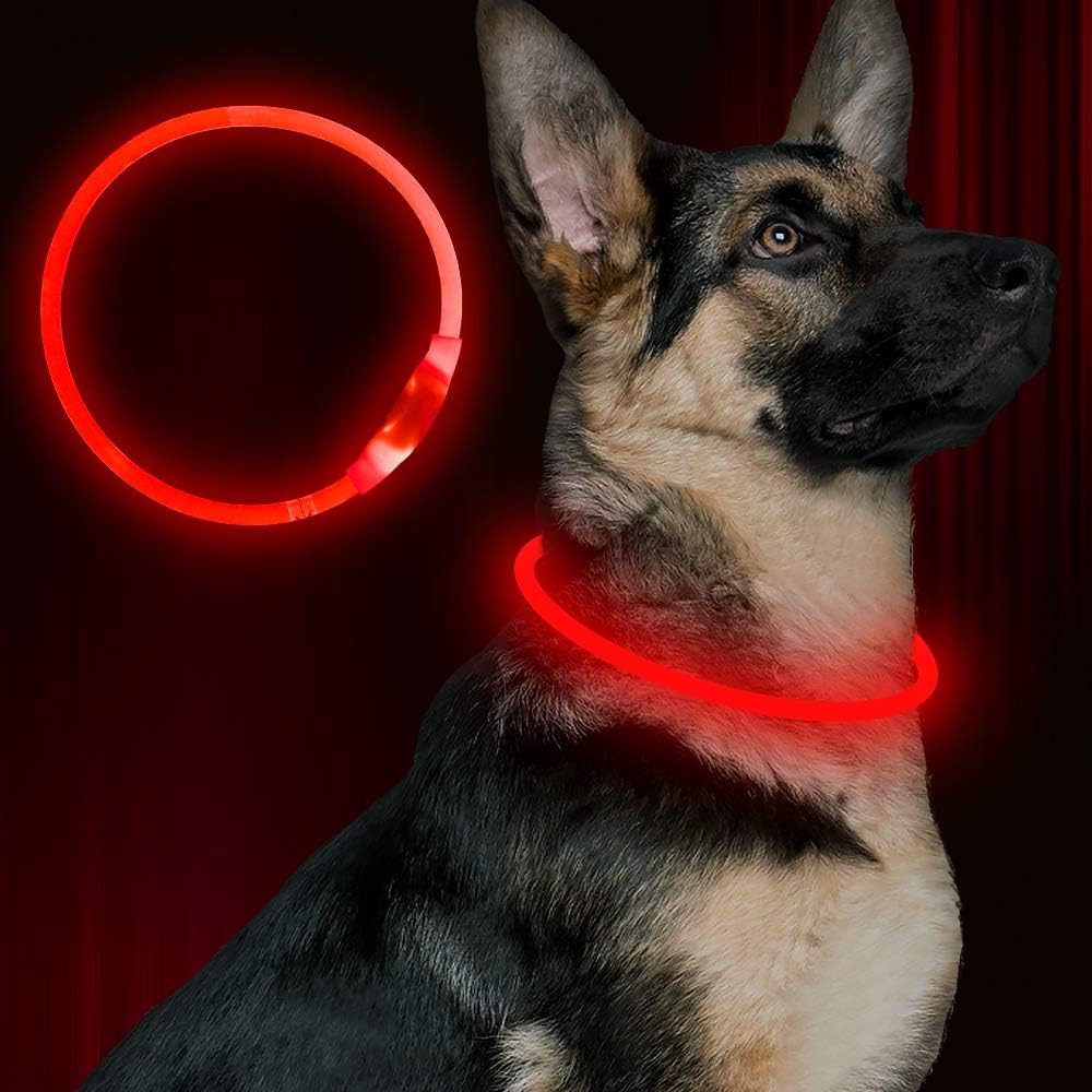 BSEEN USB Rechargeable Flash Dog Necklace Light, Green, Small Medium Large Dogs